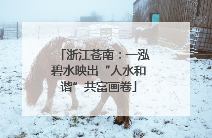 浙江苍南：一泓碧水映出“人水和谐”共富画卷