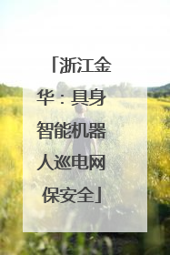 浙江金华：具身智能机器人巡电网保安全