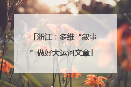 浙江：多维“叙事”做好大运河文章