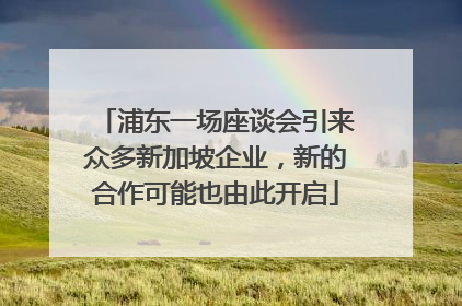 浦东一场座谈会引来众多新加坡企业，新的合作可能也由此开启