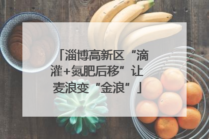淄博高新区“滴灌+氮肥后移”让麦浪变“金浪”