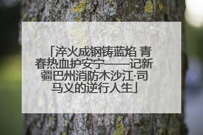 淬火成钢铸蓝焰 青春热血护安宁——记新疆巴州消防木沙江·司马义的逆行人生