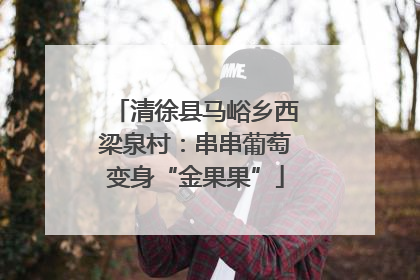 清徐县马峪乡西梁泉村：串串葡萄变身“金果果”