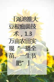 渑池推大豆根瘤菌技术，1.3万亩农田实现“一播全苗、一生节肥”