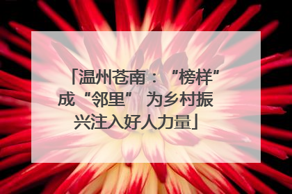 温州苍南：“榜样”成“邻里” 为乡村振兴注入好人力量