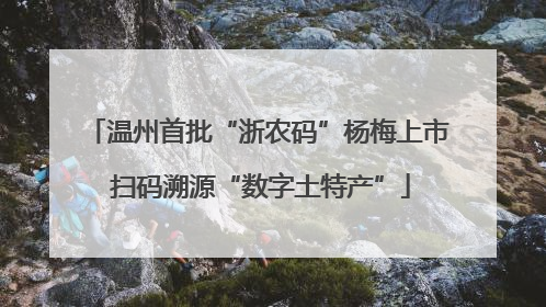 温州首批“浙农码”杨梅上市 扫码溯源“数字土特产”
