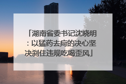 湖南省委书记沈晓明：以猛药去疴的决心坚决刹住违规吃喝歪风