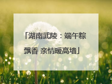湖南武陵：端午粽飘香 亲情暖高墙
