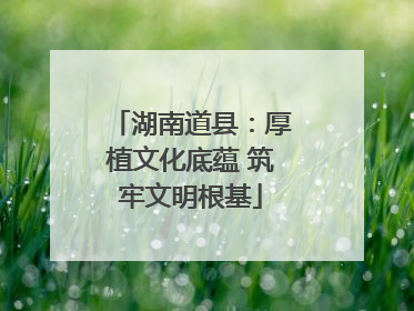 湖南道县：厚植文化底蕴 筑牢文明根基