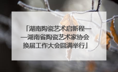 湖南陶瓷艺术启新程——湖南省陶瓷艺术家协会换届工作大会圆满举行