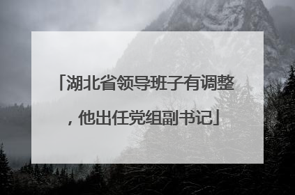 湖北省领导班子有调整，他出任党组副书记
