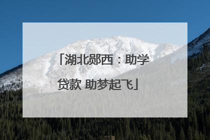 湖北郧西：助学贷款 助梦起飞