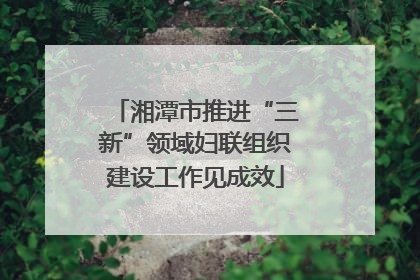 湘潭市推进“三新”领域妇联组织建设工作见成效