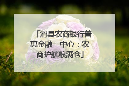 滑县农商银行普惠金融一中心：农商护航粮满仓