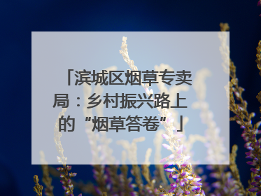 滨城区烟草专卖局：乡村振兴路上的“烟草答卷”
