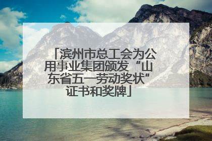 滨州市总工会为公用事业集团颁发“山东省五一劳动奖状”证书和奖牌