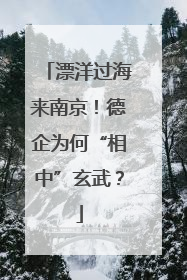 漂洋过海来南京！德企为何“相中”玄武？