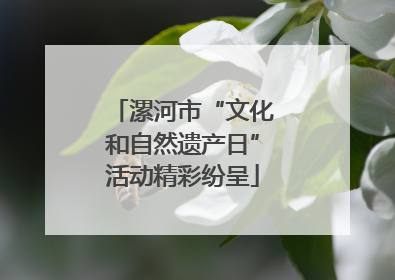 漯河市“文化和自然遗产日”活动精彩纷呈