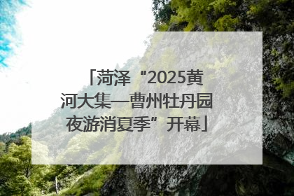 菏泽“2025黄河大集—曹州牡丹园夜游消夏季”开幕