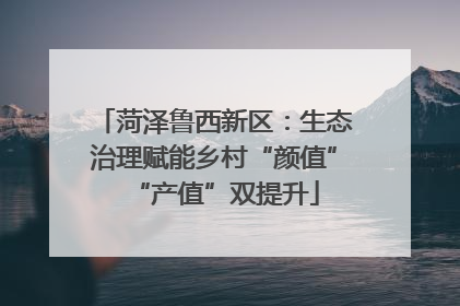 菏泽鲁西新区：生态治理赋能乡村“颜值”“产值”双提升