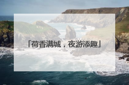 荷香满城，夜游添趣