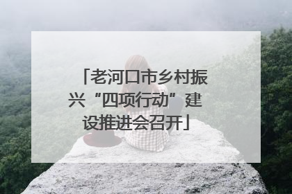 老河口市乡村振兴“四项行动”建设推进会召开
