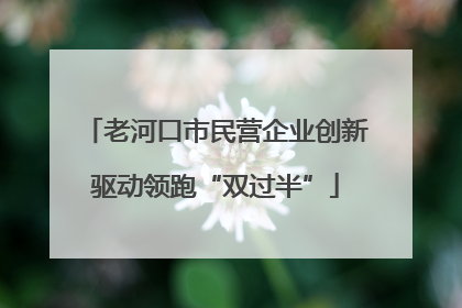老河口市民营企业创新驱动领跑“双过半”