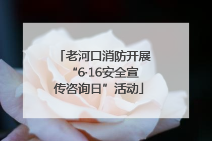 老河口消防开展“6·16安全宣传咨询日”活动