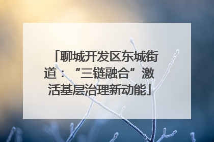聊城开发区东城街道：“三链融合”激活基层治理新动能