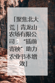 聚焦北大荒｜青龙山农场有限公司：“插前寄秧”助力农业节本增效