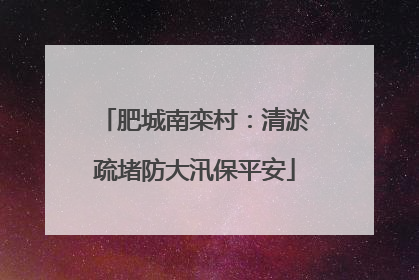 肥城南栾村：清淤疏堵防大汛保平安