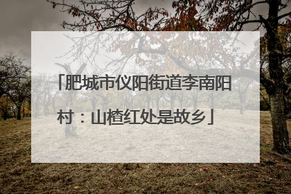 肥城市仪阳街道李南阳村：山楂红处是故乡