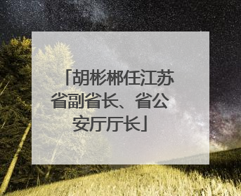 胡彬郴任江苏省副省长、省公安厅厅长