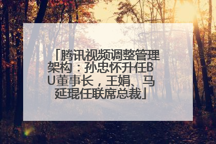 腾讯视频调整管理架构：孙忠怀升任BU董事长，王娟、马延琨任联席总裁