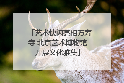 艺术快闪亮相万寿寺 北京艺术博物馆开展文化雅集