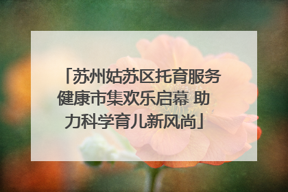 苏州姑苏区托育服务健康市集欢乐启幕 助力科学育儿新风尚