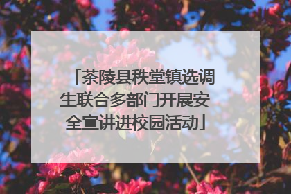 茶陵县秩堂镇选调生联合多部门开展安全宣讲进校园活动