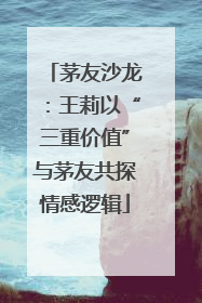 茅友沙龙：王莉以“三重价值”与茅友共探情感逻辑