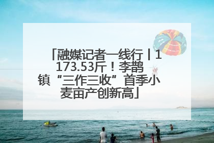 融媒记者一线行丨1173.53斤！李鹊镇“三作三收”首季小麦亩产创新高