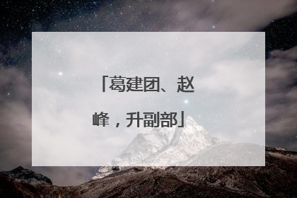 葛建团、赵峰，升副部