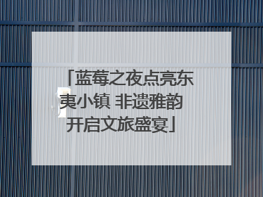 蓝莓之夜点亮东夷小镇 非遗雅韵开启文旅盛宴