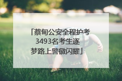 蔡甸公安全程护考 3493名考生逐梦路上警徽闪耀