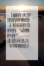 藏在大学里的博物馆丨校园里奇妙的“动物世界”——走进河北大学博物馆