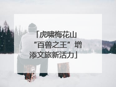 虎啸梅花山 “百兽之王”增添文旅新活力