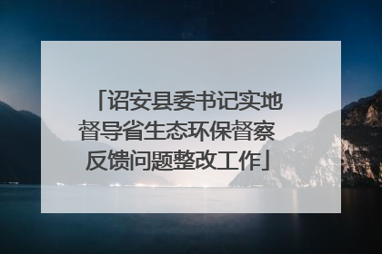 诏安县委书记实地督导省生态环保督察反馈问题整改工作