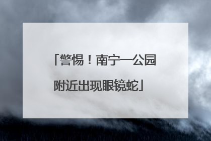 警惕！南宁一公园附近出现眼镜蛇