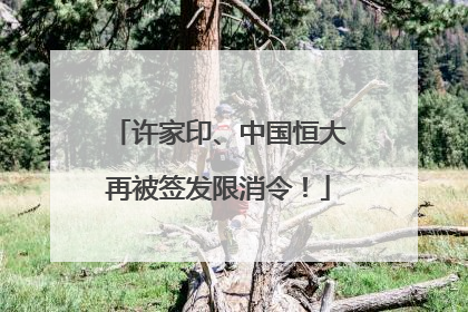 许家印、中国恒大再被签发限消令！