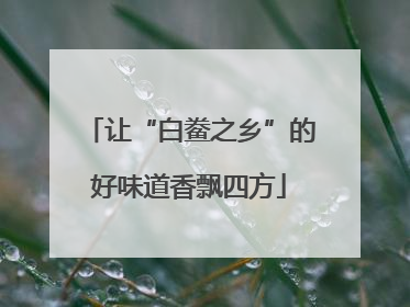 让“白鲞之乡”的好味道香飘四方