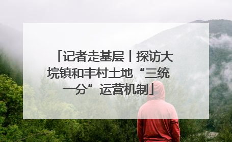 记者走基层丨探访大垸镇和丰村土地“三统一分”运营机制