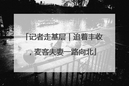 记者走基层｜追着丰收，麦客夫妻一路向北
